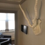 Twenty One dental clinic dentist Brighton Hove