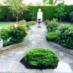 Twenty One dental clinic dentist Brighton Hove