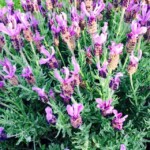 Twenty One dental clinic dentist Brighton Hove