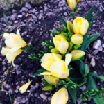 Twenty One dental clinic dentist Brighton Hove