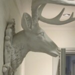 Twenty One dental clinic dentist Brighton Hove