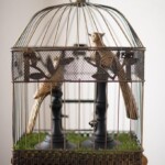 Twenty One dental clinic dentist Brighton Hove